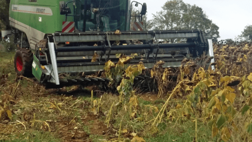 Récolte - Autre matériel de récolte - Kit plateau à tournesol 6.10 M
