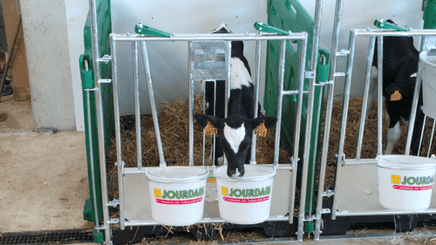 Matériel d'élevage - Case et logette veau - Cases à veaux JOURDAIN